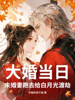 大婚当日，未婚妻跑去给白月光渡劫