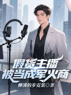 假货主播，被当成军火商