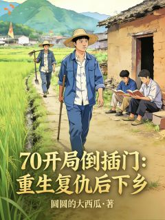 70开局倒插门，重生复仇后下乡