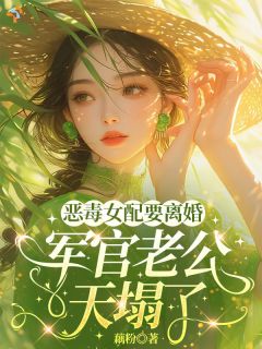 恶毒女配要离婚,军官老公天塌了