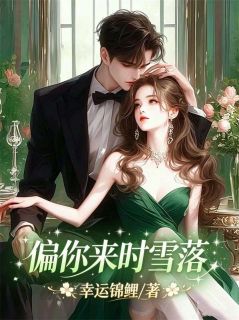 偏你来时雪落