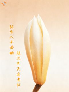 结束八年婚姻，陆总天天追妻忙