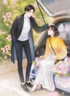 夏蝉冬雪不见她